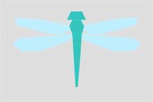 Schnittmuster: Dragonfly Pattern - Artikel-Nr. 5804