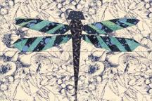 Schnittmuster: Dragonfly Pattern - Artikel-Nr. 5804